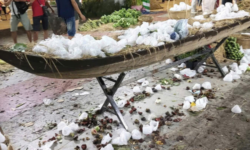 Visitors stripped bare display fruit at a festival in Dong Thap