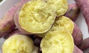 Six easily digestible foods