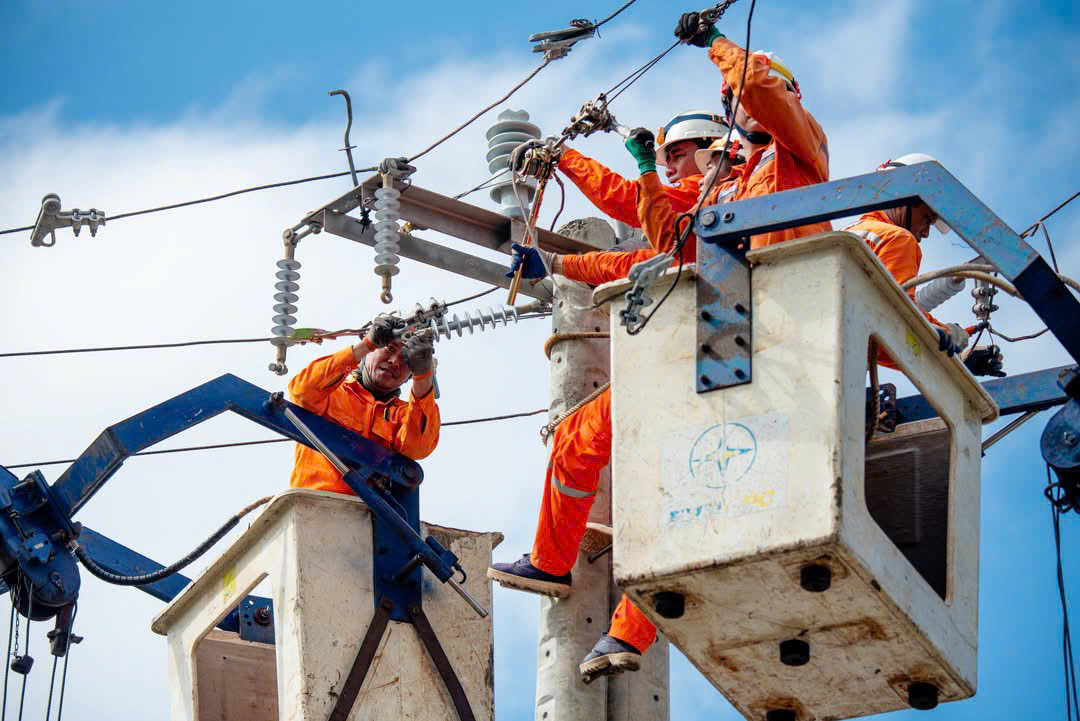 EVN eliminates accumulated losses