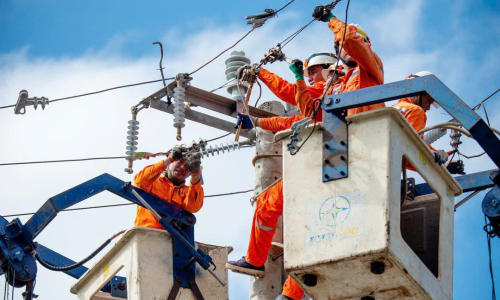 EVN eliminates accumulated losses