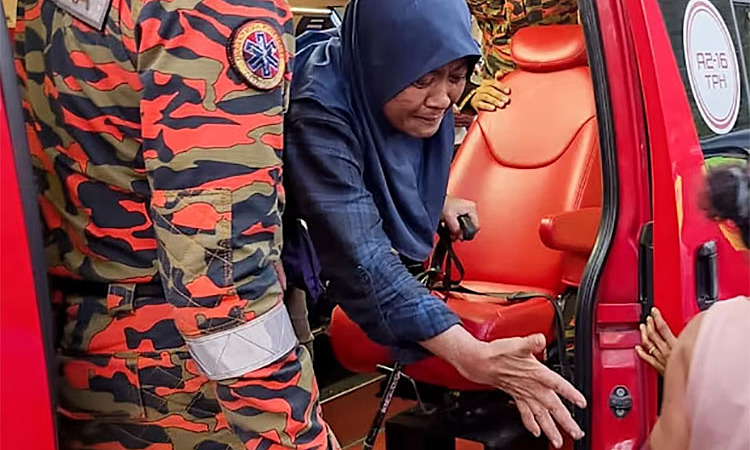 Female tourist survives 14 days drinking water from a wild plant