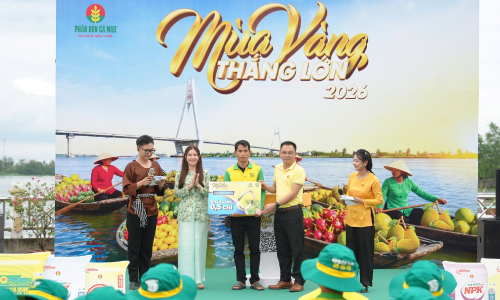 "Golden Harvest, Big Wins" program leaves its mark in Can Tho