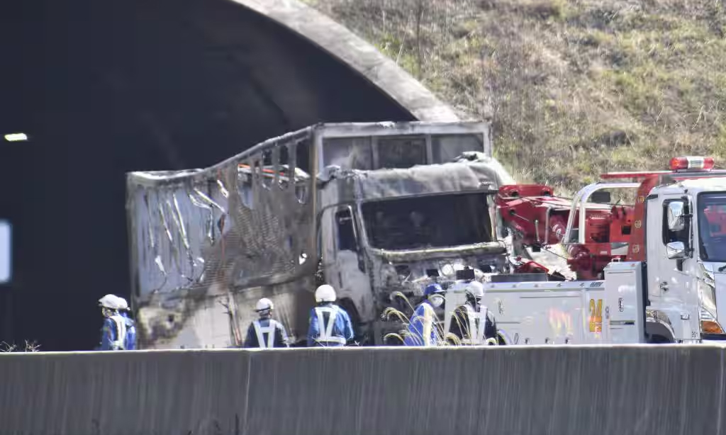 Female driver causes 6 deaths while watching cooking video behind the wheel