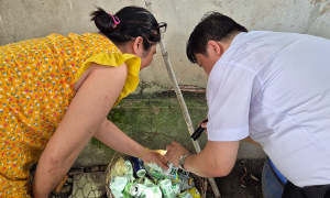 Dengue fever epidemic defies patterns, cases double