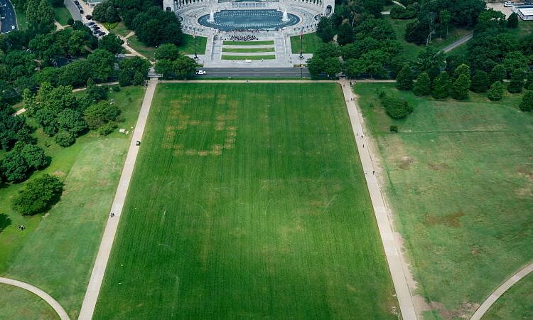 Code threatening Trump appears at US National Mall