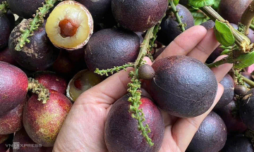 Durian longan priced over two million VND per kg in Ho Chi Minh City