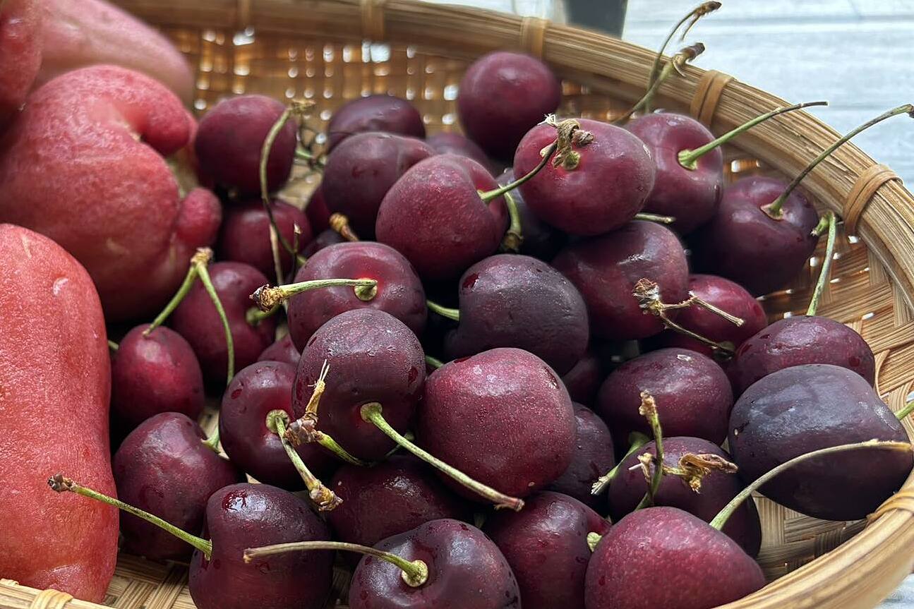 5 foods to reduce inflammation during cancer treatment