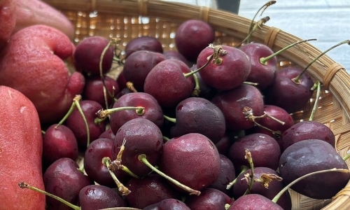 5 foods to reduce inflammation during cancer treatment