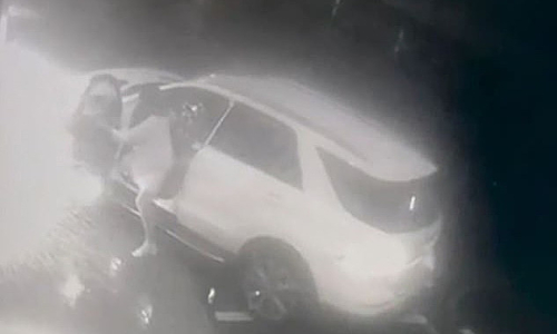 Businesswoman fatally hits thief with car, retrieves handbag