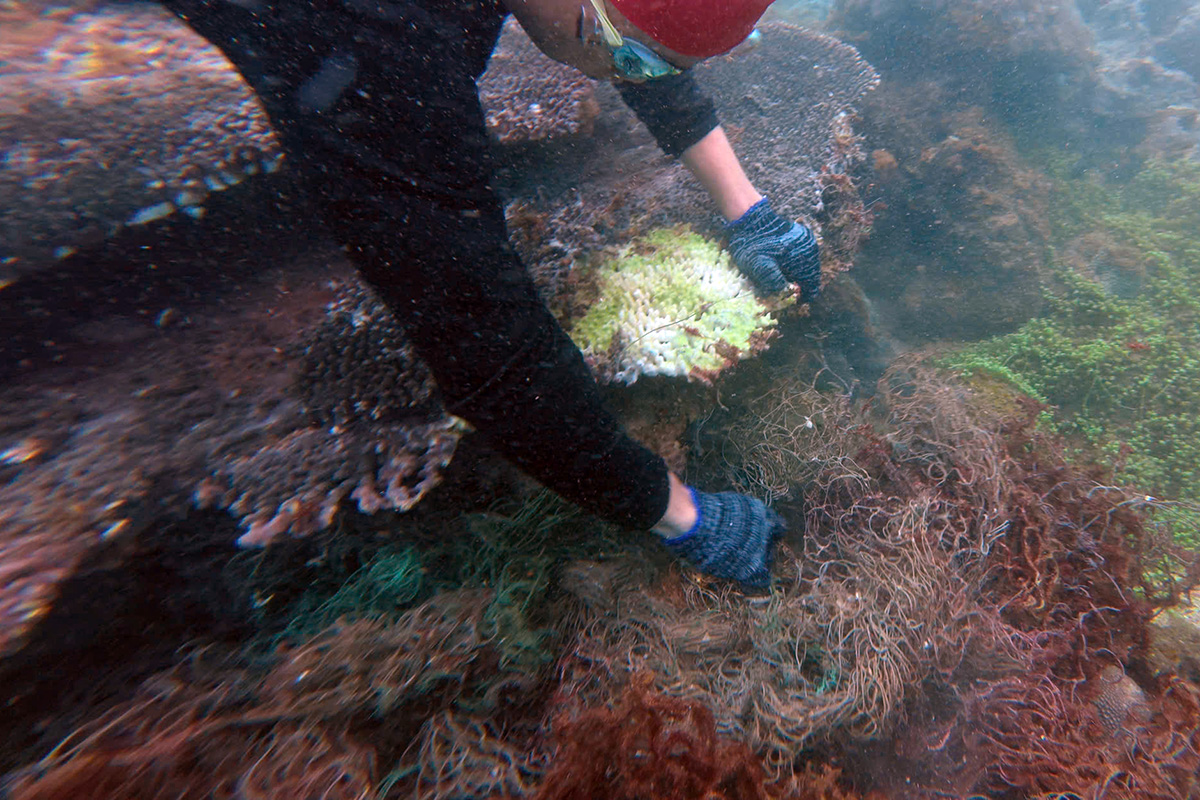 1,500 volunteers collect 2 tons of trash to clean Son Tra Peninsula