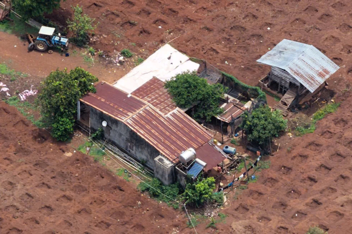 Police use drone to monitor, detain 31 at Tay Nguyen cockfighting ring