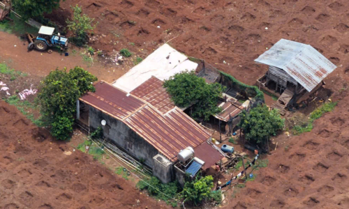 Police use drone to monitor, detain 31 at Tay Nguyen cockfighting ring