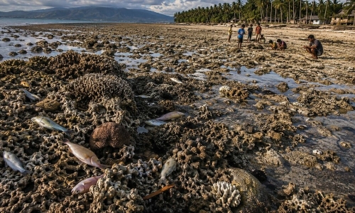 Philippines earthquake lifts seabed by 2 meters