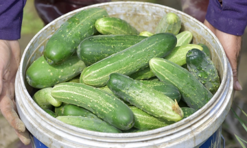 Should you peel cucumbers or eat them whole?