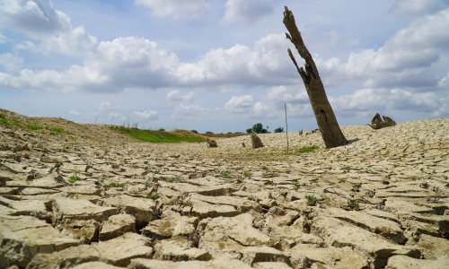 Water retention to cope with a very strong El Nino