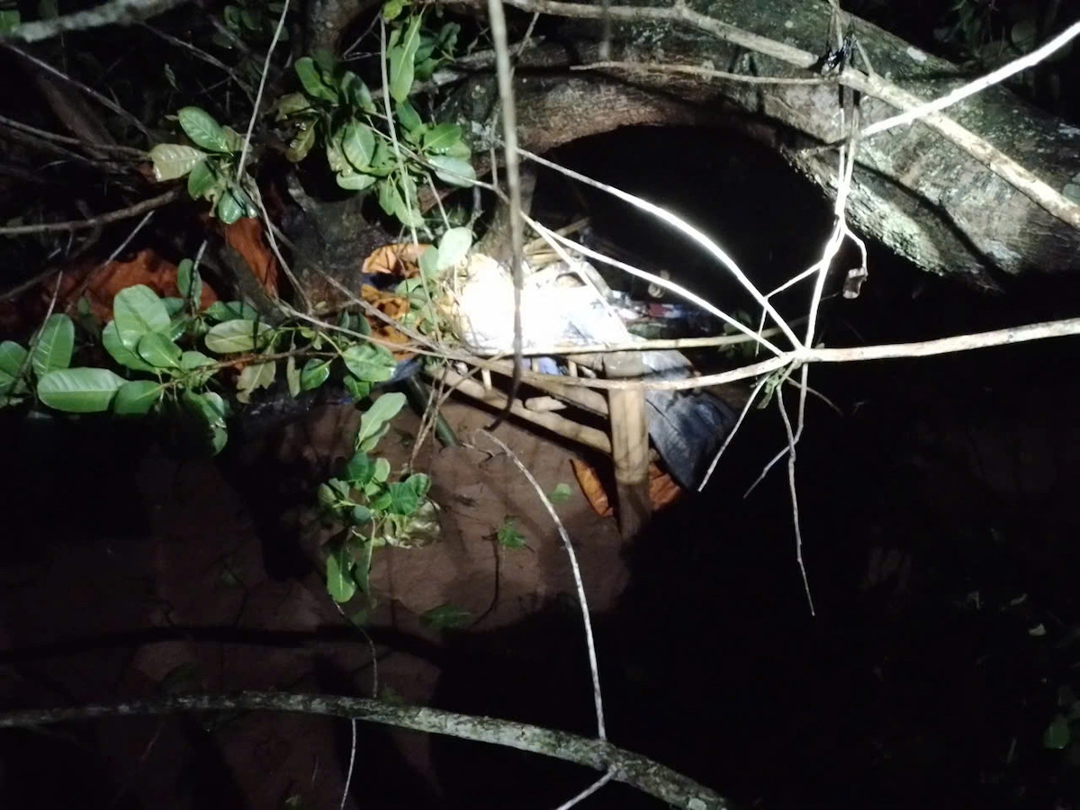 Cashew tree uproots, kills man in his home