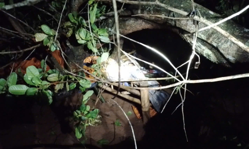 Cashew tree uproots, kills man in his home