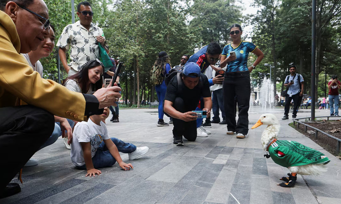 Prophet duck predicts host Mexico to win against South Korea at World Cup