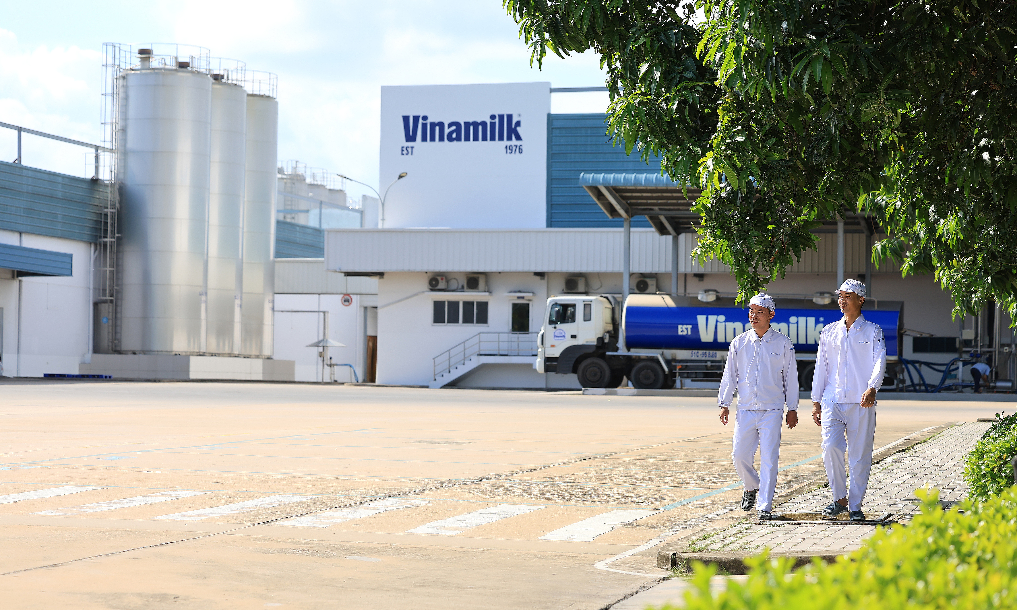 Vinamilk is the only Vietnamese dairy company in Fortune Southeast Asia 500