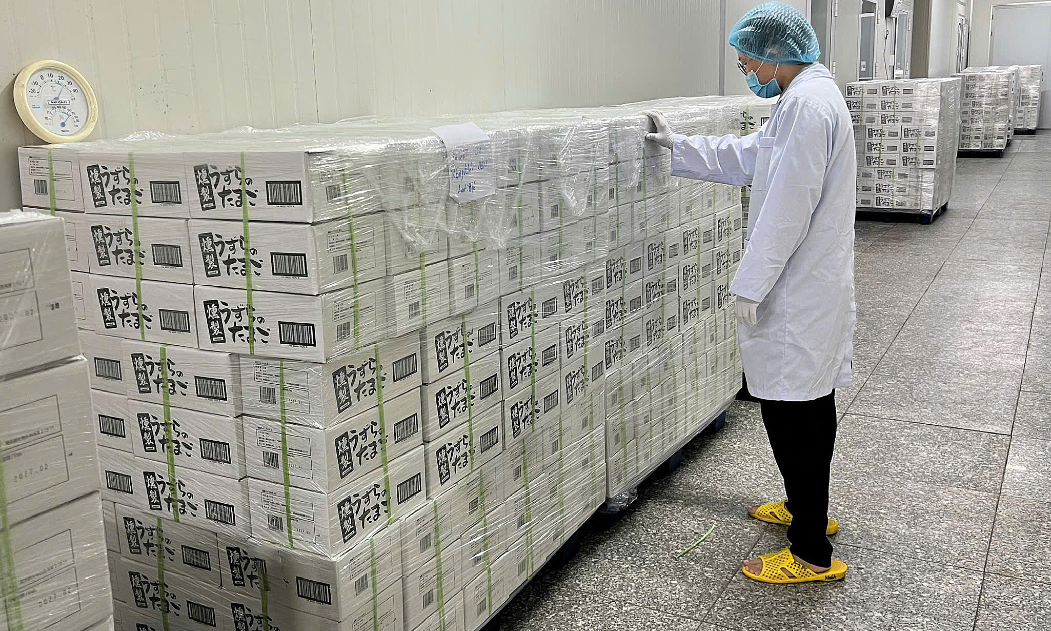 Vietnam exports ready-to-eat eggs to Japan for the first time