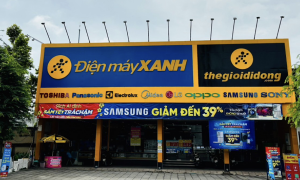 Nearly 60 investment funds register to buy Dien May Xanh's IPO shares