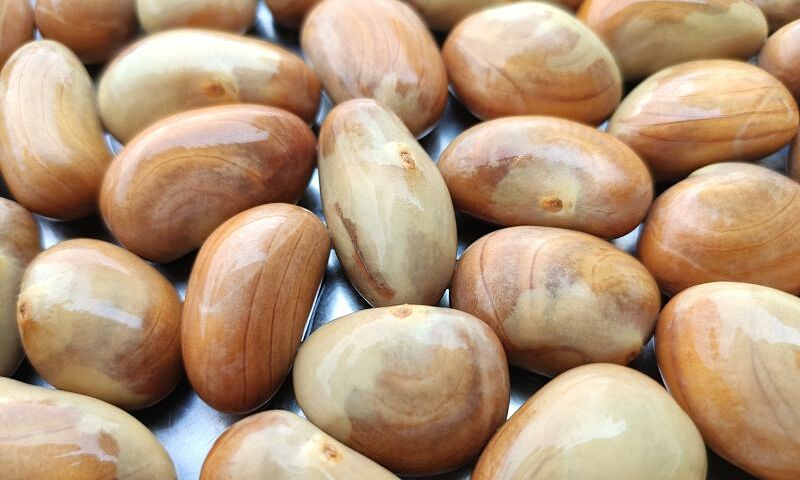 Do jackfruit seeds cause internal heat?