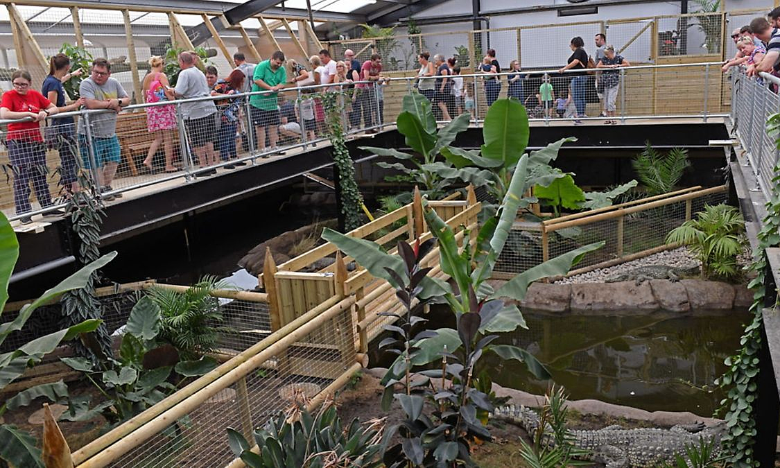 Attempted murder after 3-year-old boy thrown into crocodile enclosure