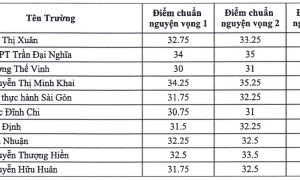 Ho Chi Minh City's 10th grade specialized admission scores peak at 39,25/50