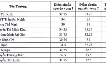 Ho Chi Minh City's 10th grade specialized admission scores peak at 39,25/50