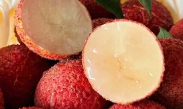 Chinese seedless lychee prices halved