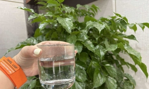 4 evening drinks to help stabilize blood sugar