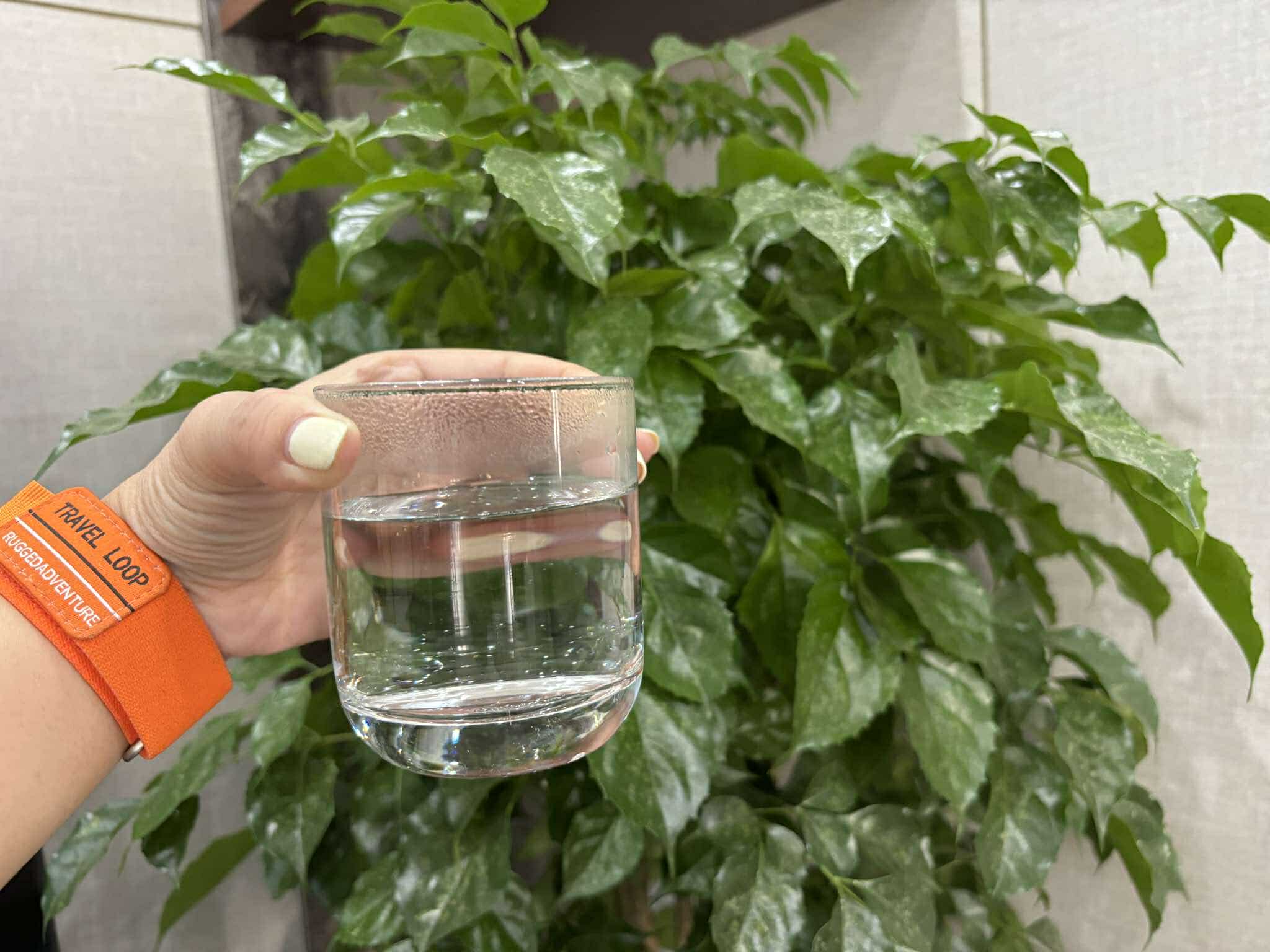 4 evening drinks to help stabilize blood sugar