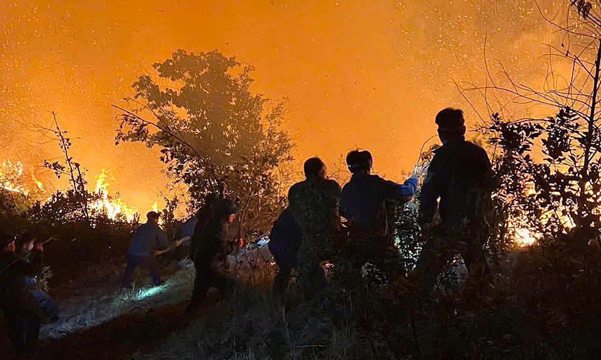 Over 1,000 people battle forest fire through the night