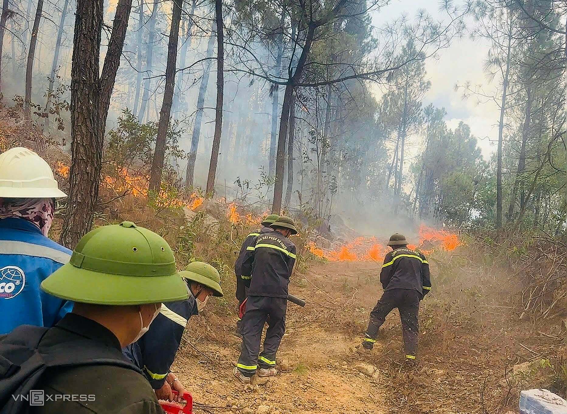 Over 500 soldiers, police battle forest fire