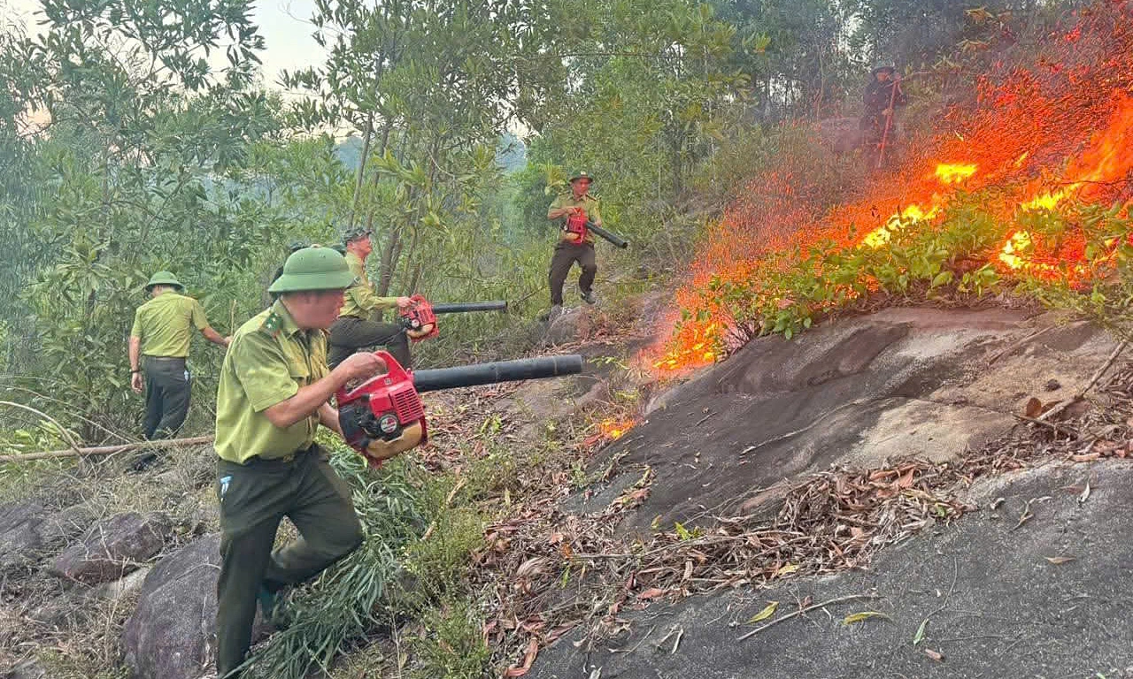 Emergency response to forest fire risk
