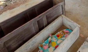 Bodies of two siblings found in pond