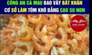 Man summoned for spreading 'Ca Mau dried shrimp made from raw rubber' false information
