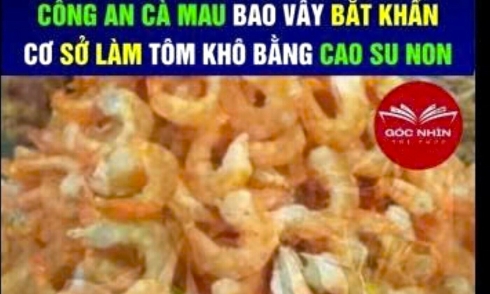 Man summoned for spreading 'Ca Mau dried shrimp made from raw rubber' false information
