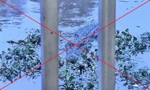 Mother fined 7,5 million VND after daughter creates AI crocodile image