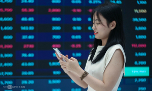 Stock market rebounds