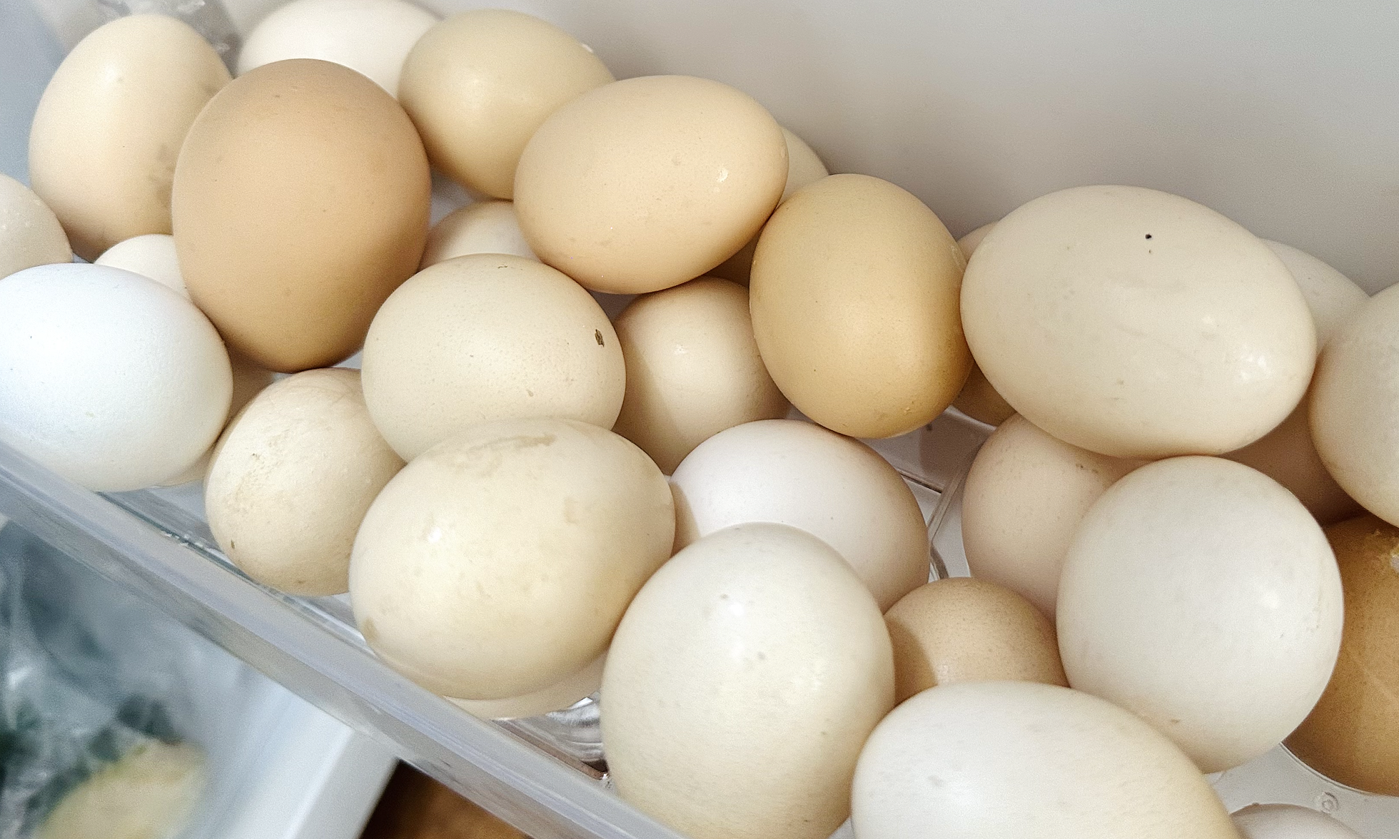 Should you store eggs in the refrigerator door?