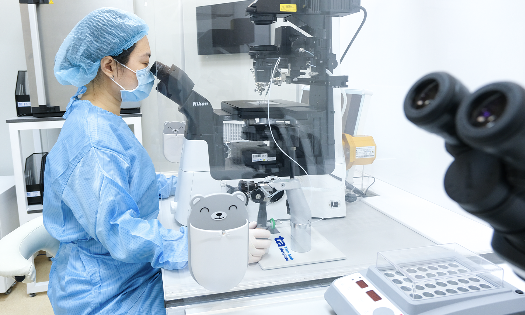When is an embryo eligible for biopsy?