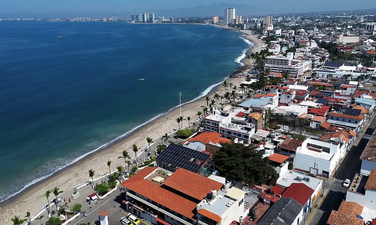 Crocodile drags man into sea in Mexico