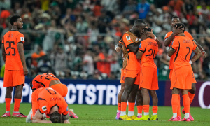 'World Cup oracle' apologizes to Netherlands