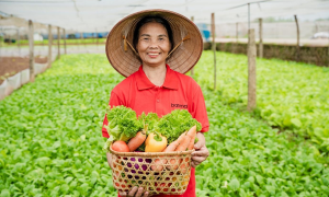 Ban Mai focuses on controlling from raw material regions to meals