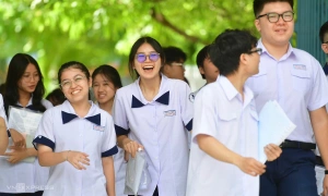 nine students achieve near-perfect literature scores