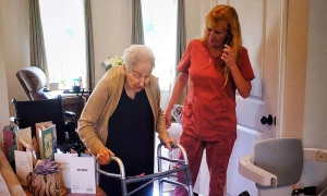 Why nursing homes cannot replace family