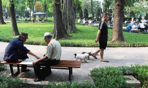 Why are rabies cases increasing?
