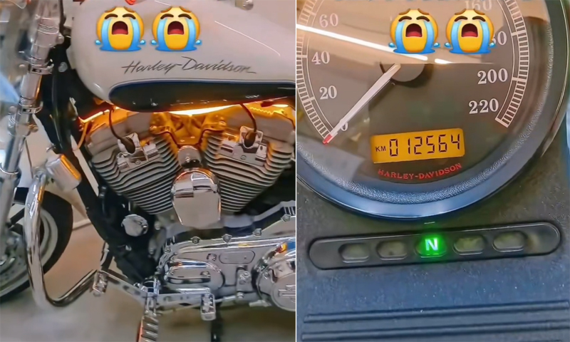 Harley-Davidson owner distraught as pristine motorcycle faces mandatory destruction