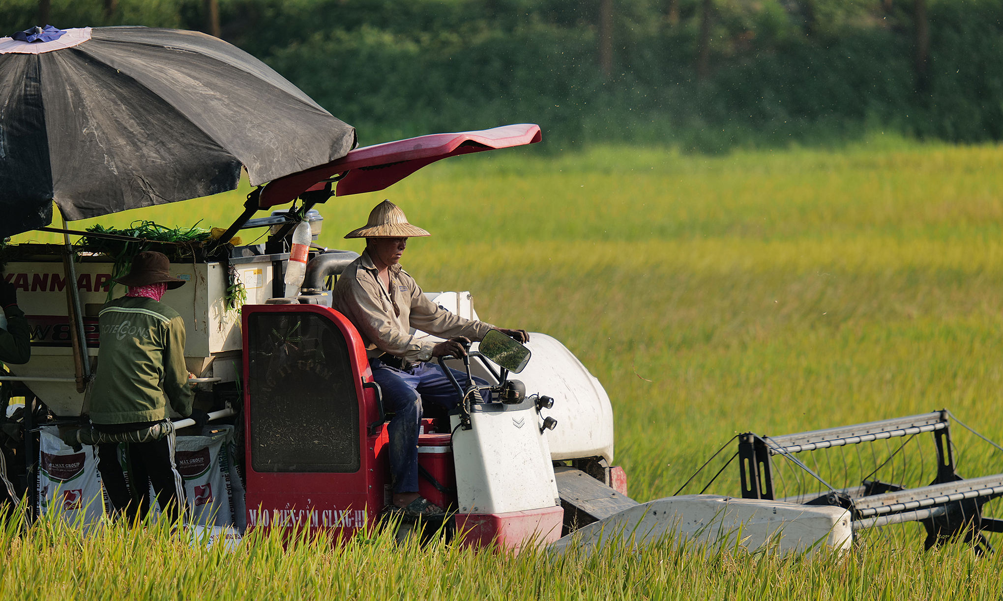 Climate investment fund of USD 50 million targets Vietnam